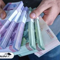 ۱۹۵ تومن وام نقدی