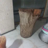 ظروف رستوران