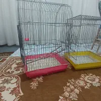 قفس پرنده