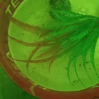 ماهی گوپی مولی پلاتین|ماهی|ارومیه, |دیوار