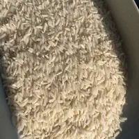 برنج طارم هاشمی گیلان|خوردنی و آشامیدنی|رشت, لاکان شهر|دیوار