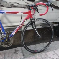 کورسی ردلی کمپانیول کربن|دوچرخه، اسکیت، اسکوتر|ری, فیروزآبادی|دیوار