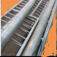 دارقالی|فرش|کاشان, دانش|دیوار