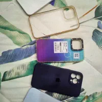 قاب ۱۳ پرومکس