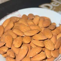 بادام درختی 18/20