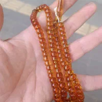 سندلوس نباتی 101طرح المان