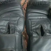 دستکش بوکس|تجهیزات ورزشی|تربتحیدریه, آبشار|دیوار