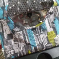 کالسکه. کریر. صندلی ماشین. گهواره|کالسکه و لوازم جانبی|تهران, تختی|دیوار