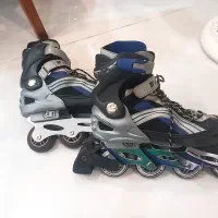 اسکیت