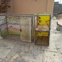 قفس کبوتر پرنده