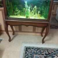 اکواریوم|ماهی|کاشان, درب باغ|دیوار