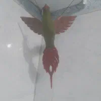 سلام عزیزان، دکوری منزل وماشین عروس هلندی