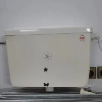 فلاشتانک و یک عدد دوش