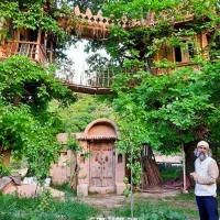 تور جمعه یکروزه کلبه درختی شیروان با قیمت استثنائی