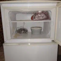 یخچال و بخاری|یخچال و فریزر|کردکوی, |دیوار