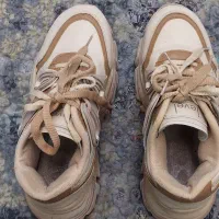 کفش|کیف، کفش، کمربند|فولادشهر, B8|دیوار