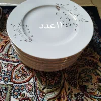ظروف چینی