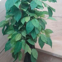 درخت مصنوعی