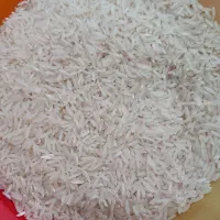 برنج فجر سوزنی سورت شده