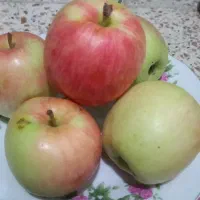 سیب گلاب