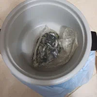 یک عدد پلوپز مارک توشیبا ۱۲ نفره نو استفاده نشده