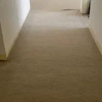 موکت تمیز و نو