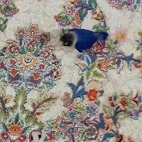 طوطی یرزیلی رام شده ابی کاربنی