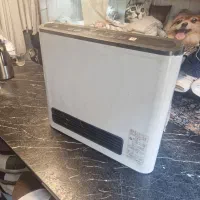 بخاری ژاپنی ۴۷۰۰ کالری