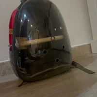 کوله پرنده بسیار تمیز و‌سالم درحد نو