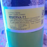 یه دونه پیاز