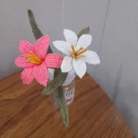 گل جاویدان هدیه روز  زن ، مادر