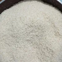 برنج فجر ولاشه درجه یک هاشمی