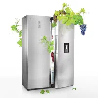 دوقلو دوو|یخچال و فریزر|تهران, امین حضور|دیوار