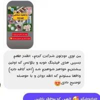 آموزش مجازی موچی|خدمات آموزشی|محمدیه-قزوین, |دیوار