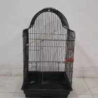 قفس کاسکویی