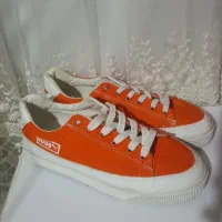 سایز ۳۸|کیف، کفش، کمربند|قم, چهار مردان|دیوار