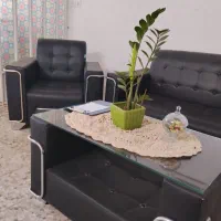 روانشناس مشاور روان درمانگر تراپیست