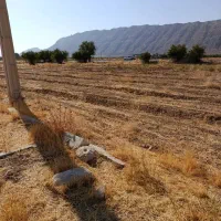 فروش باغچه تفریحی|فروش زمین و ملک کلنگی|میمند, |دیوار