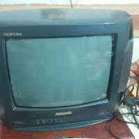 تلویزیون