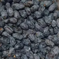 خرما خشک درشت خَنیزی