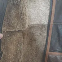 کاپشن بوفالو|لباس|کنگاور, |دیوار