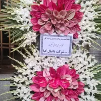 تاج گل|گل و گیاه طبیعی|کرج, کوی کارمندان شمالی|دیوار