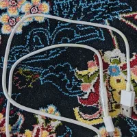 دو عدد سیم شارژر