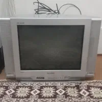 تلویزیون