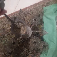 لوستر|لوستر و چراغ آویز|مشهد, منزل آباد|دیوار