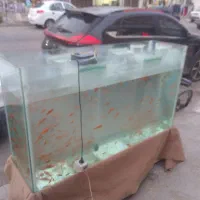 اکواریوم با چهار پایه