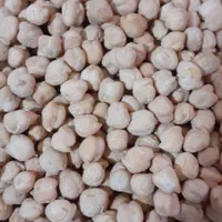 بوجاری و اصلاح بذر|خدمات باغبانی و درختکاری|صحنه, |دیوار