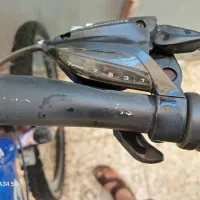 دوچرخه|دوچرخه، اسکیت، اسکوتر|اهواز, زیتون کارگری|دیوار