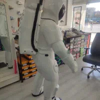 مجسمه آدم فضایی|مجسمه، تندیس، ماکت|زنجان, |دیوار