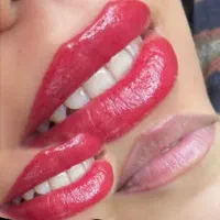 خدمات تخصصی آرایش دائم ( شیدینگ لب )|خدمات آرایشگری و زیبایی|اصفهان, برازنده|دیوار
